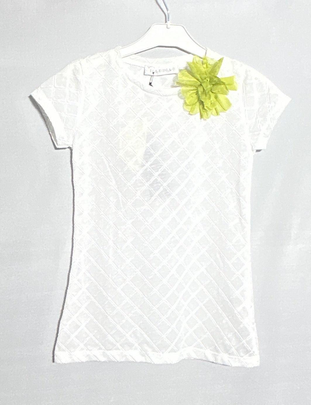 ILLUDIA GIRL T-SHIRT SS 51I2649